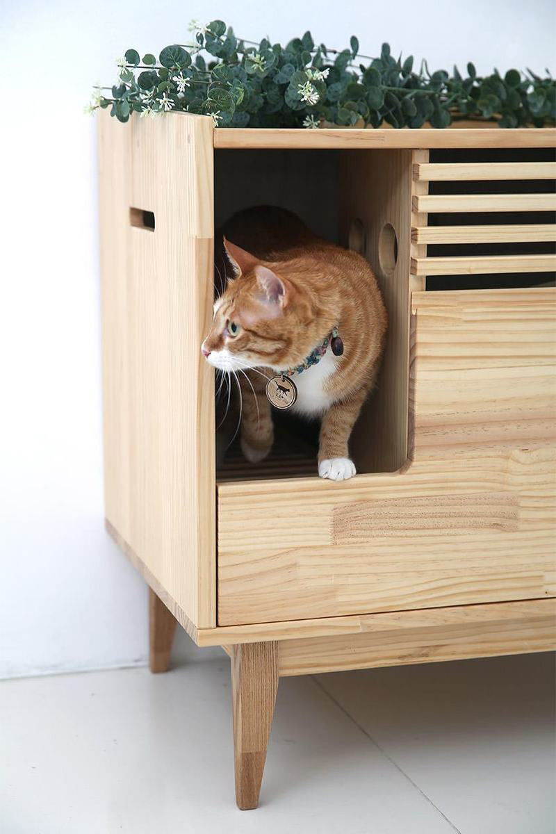 Tuft and Paw birch furniture